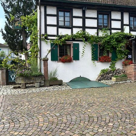 Exklusive Maisonette-Wohnung Am Rande Von Freiburg Merzhausen エクステリア 写真