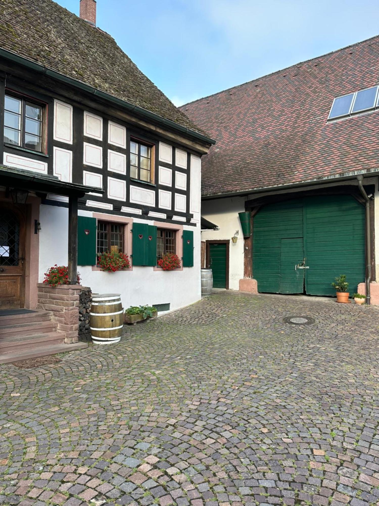 Exklusive Maisonette-Wohnung Am Rande Von Freiburg Merzhausen エクステリア 写真